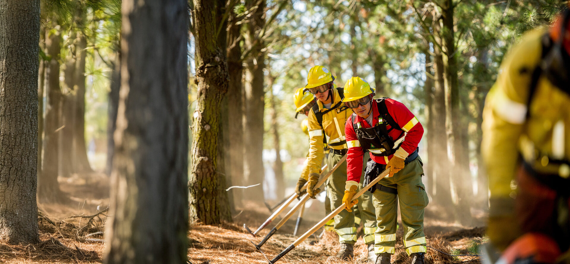 Brigada de SERFONAC en faena de protección